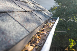 leaf buildup in fall in roof and gutters
