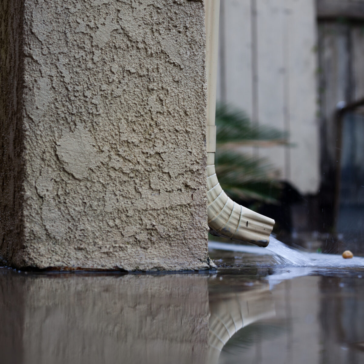 large puddle underneath a downspout, likely leaking into the basement