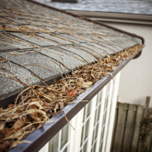 roof gutter clogged needing cleaned out on a Pittsburgh home